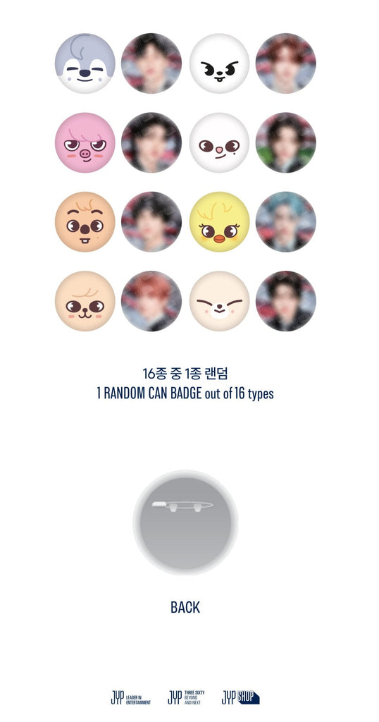 STRAY KIDS - 5 STAR DOME TOUR 2023 SEOUL SPECIAL UNVEIL 13 OFFICIAL MD -  TRAIDING CAN BADGE - Swiss K-POPup